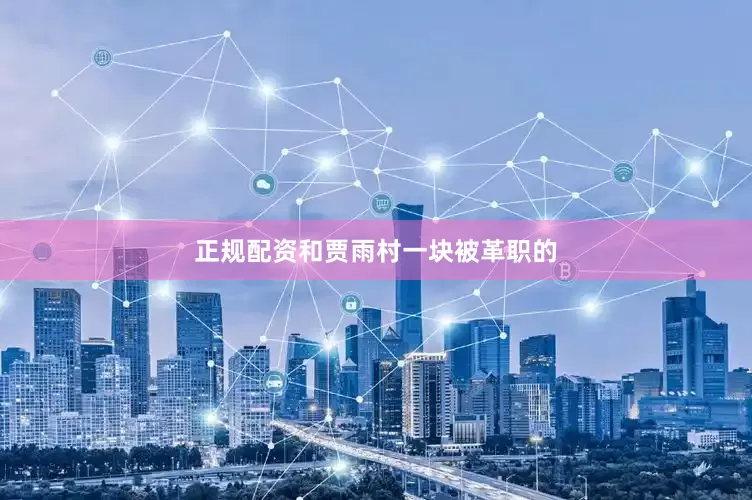 正规配资和贾雨村一块被革职的
