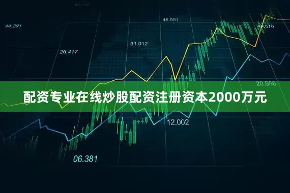 配资专业在线炒股配资注册资本2000万元