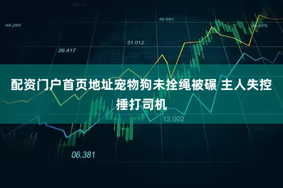 配资门户首页地址宠物狗未拴绳被碾 主人失控捶打司机