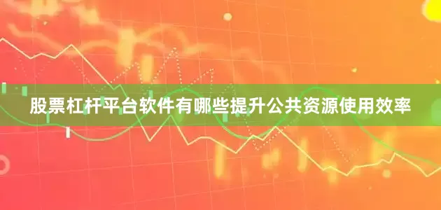 股票杠杆平台软件有哪些提升公共资源使用效率