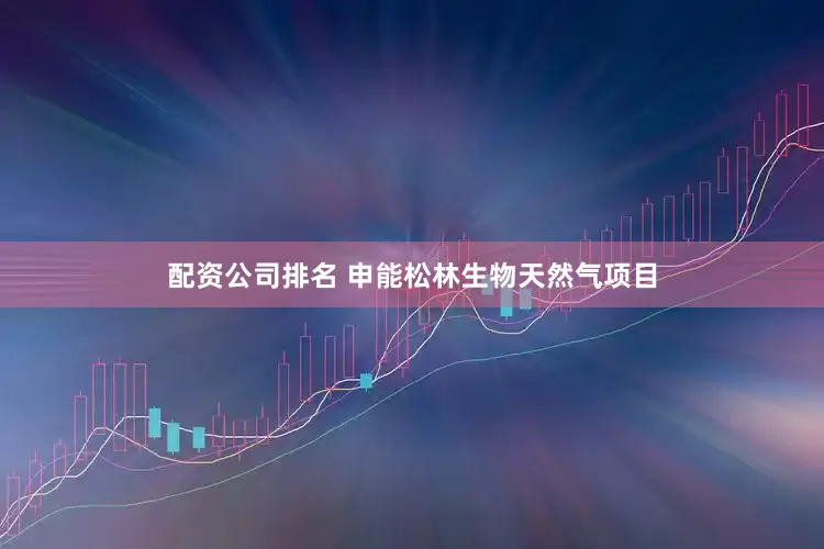 配资公司排名 申能松林生物天然气项目
